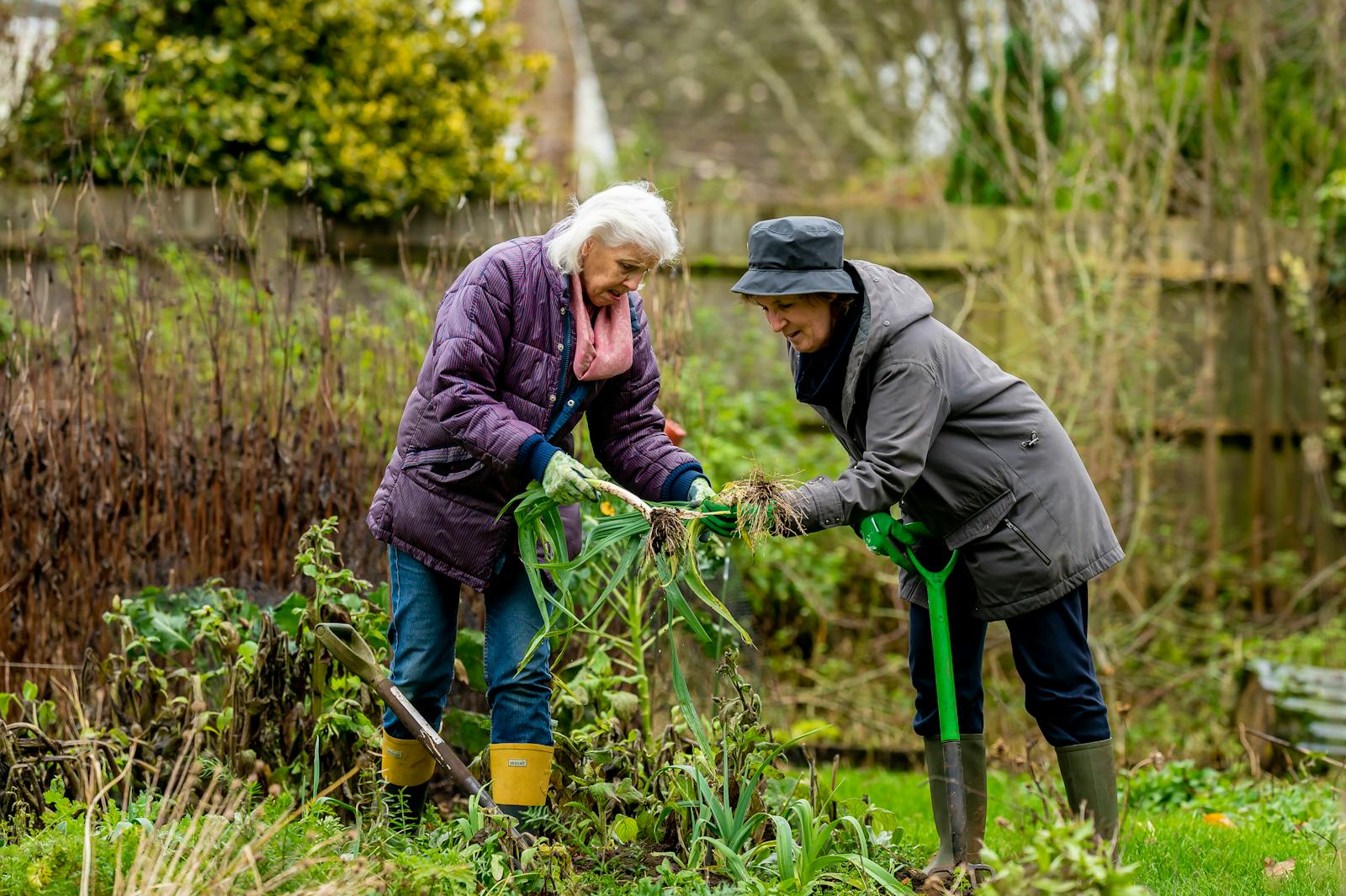 Gardening for Seniors: Benefits and Easy Tips to Get Started